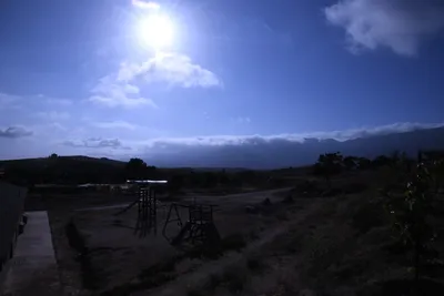 DSC_1203 (Large).JPG